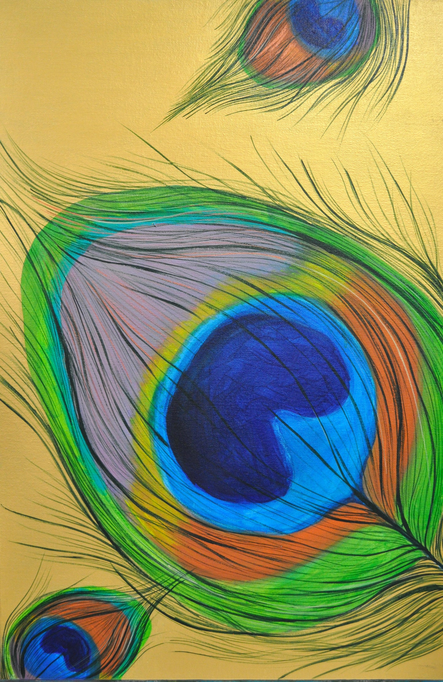 Peacock Feather