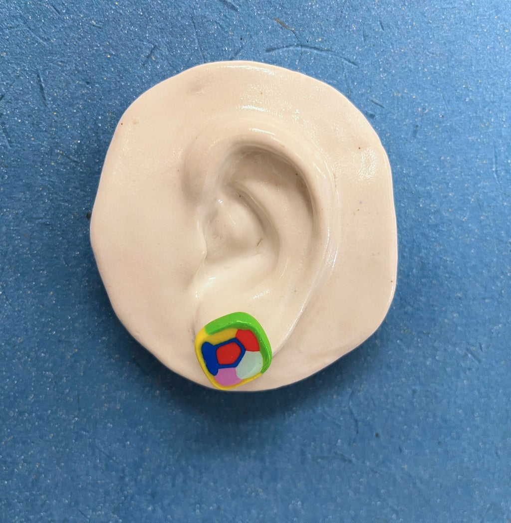 Earrings by Tara Scott