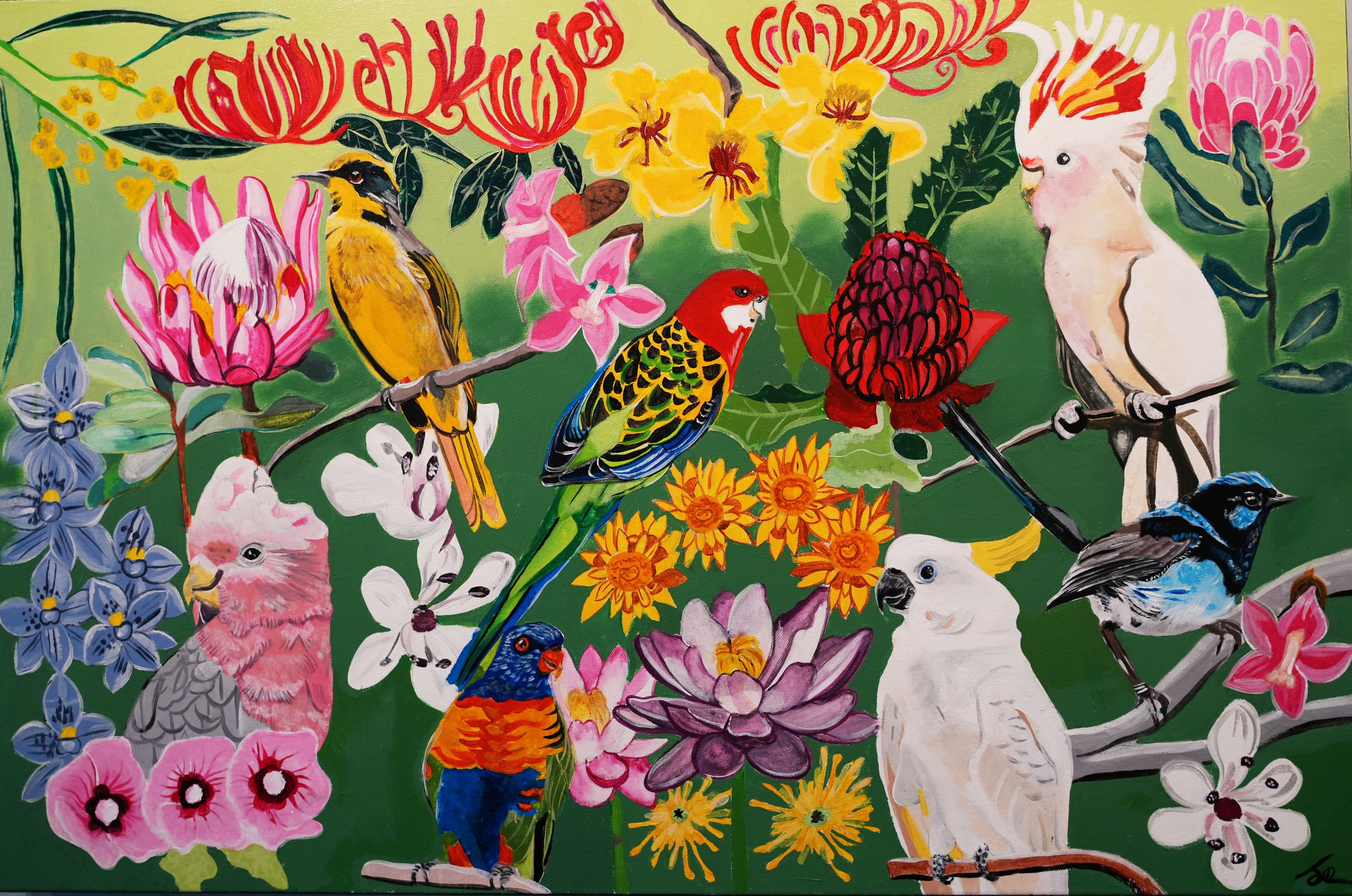 Birds and Plants of Australia