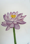 Lotus Flower