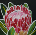 Protea